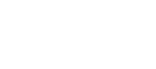 DsfX Logo